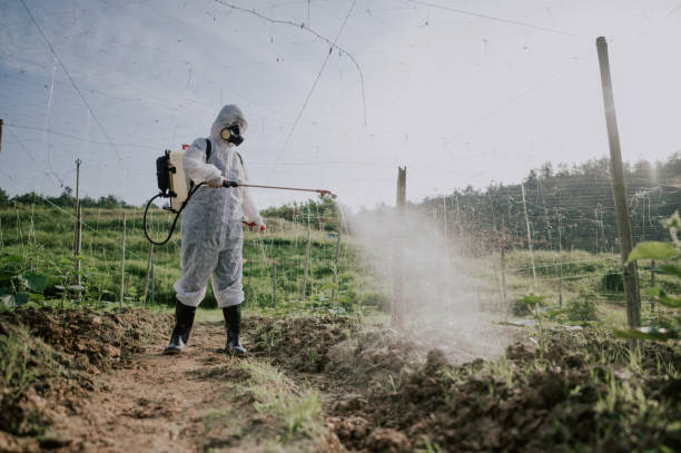 Professional Pest Control in Thorp, WI