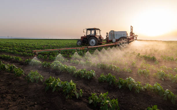 Best Pest Inspection Near Me  in Thorp, WI