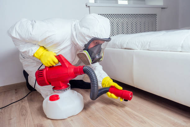 Best Wasp Removal Services  in Thorp, WI