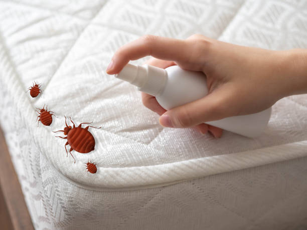 Best Pest Control Near Me  in Thorp, WI