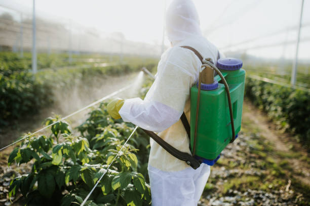 Pest Prevention Services in Thorp, WI